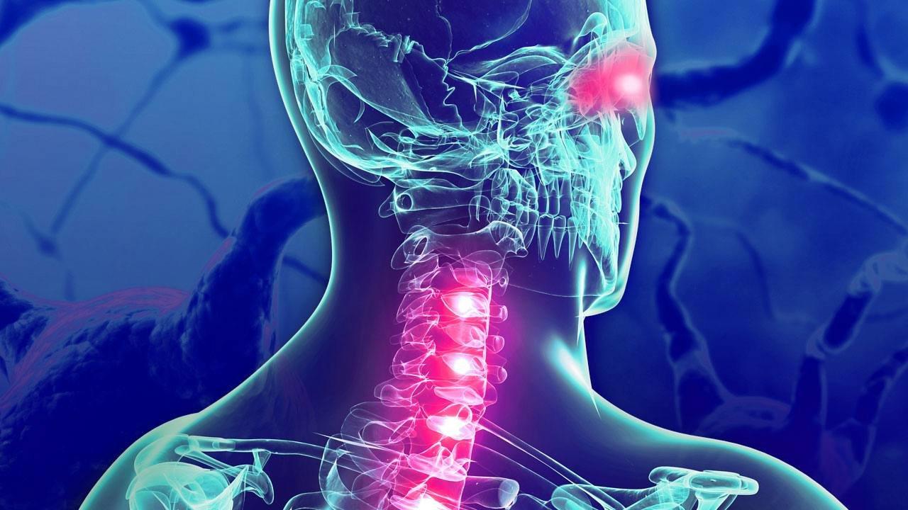 spinal-cord5-دکتر حمیدرضا کاشانی